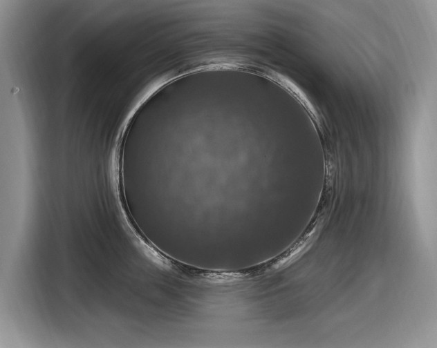 X0000116450859200912151259