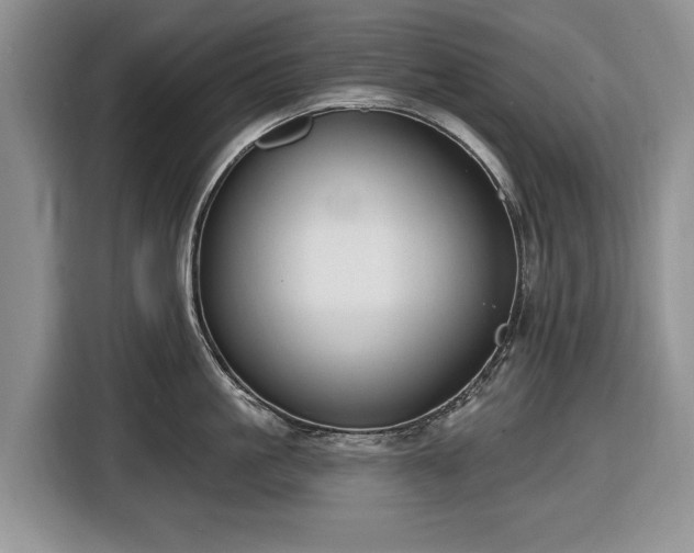 X0000116450861200912151259