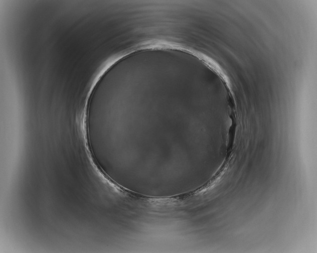X0000116450863200912151259