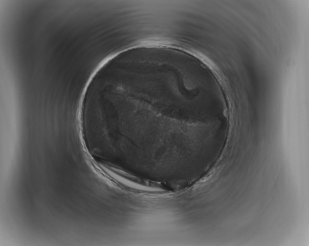 X0000116450864200912151259