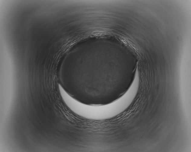 X0000116450868200912151258
