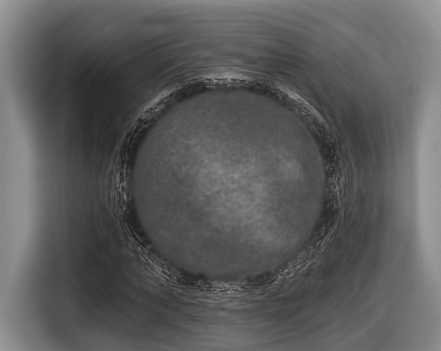 X0000116450870200912151258