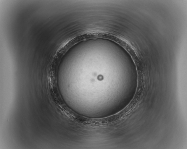 X0000116450871200912151258