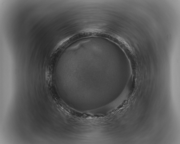 X0000116450872200912151258