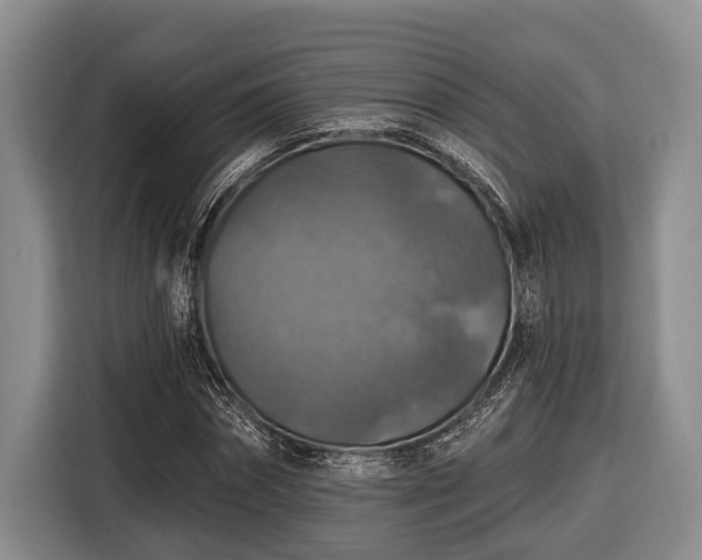 X0000116450874200912151258