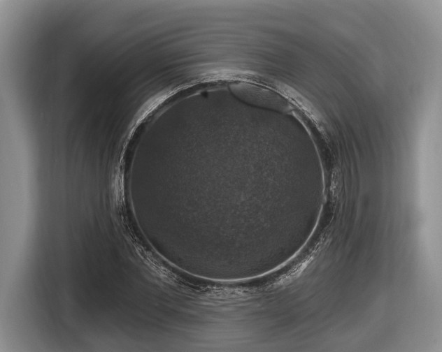 X0000116450877200912151258