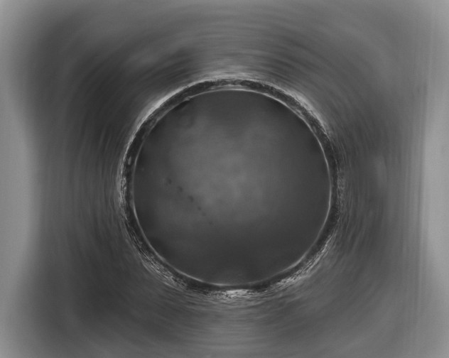 X0000116450879200912151258