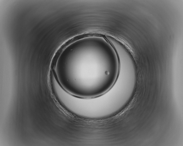 X0000116450880200912151258