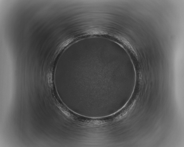 X0000116450881200912151258