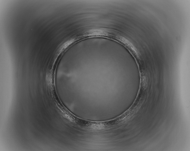 X0000116450882200912151258