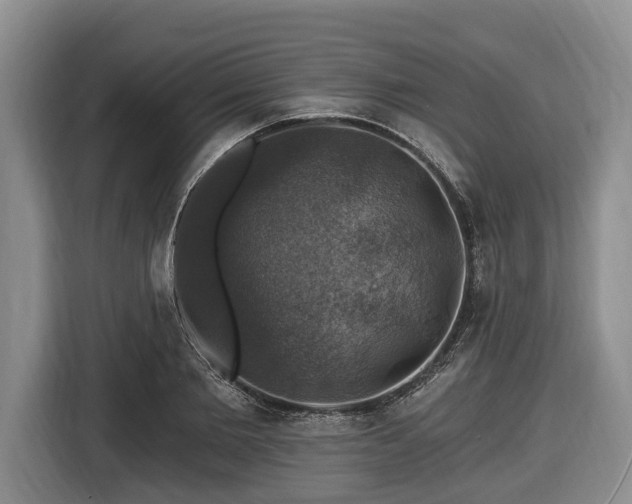 X0000116450885200912151258