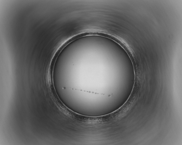 X0000116450887200912151258