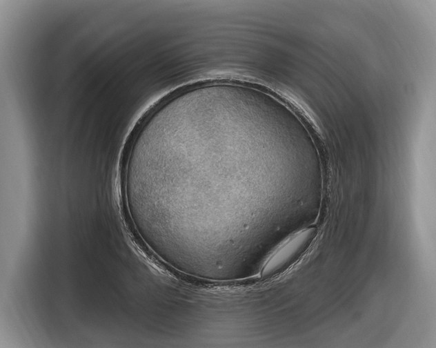 X0000116450888200912151258