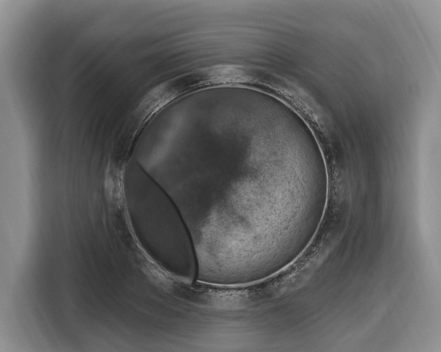 X0000116450889200912151258