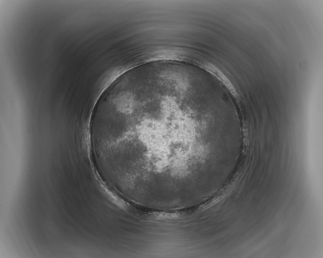 X0000116450890200912151258