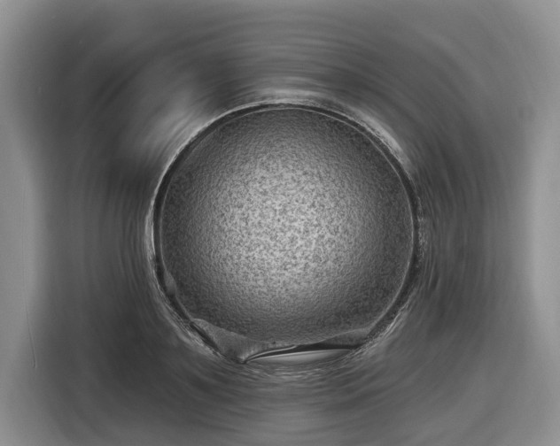 X0000116450891200912151258