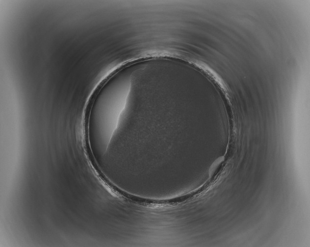 X0000116450894200912151258