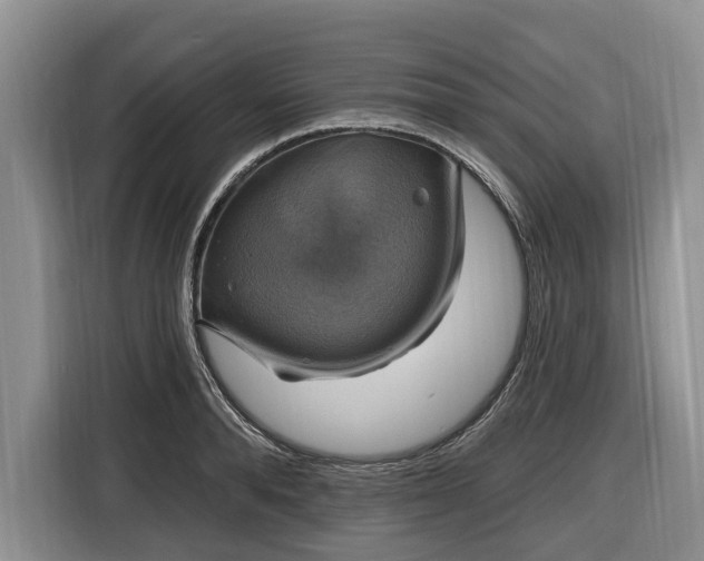 X0000116450896200912151258