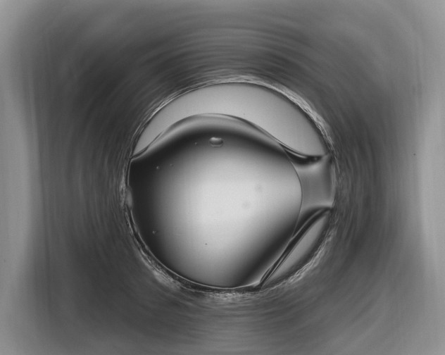 X0000116450897200912151258