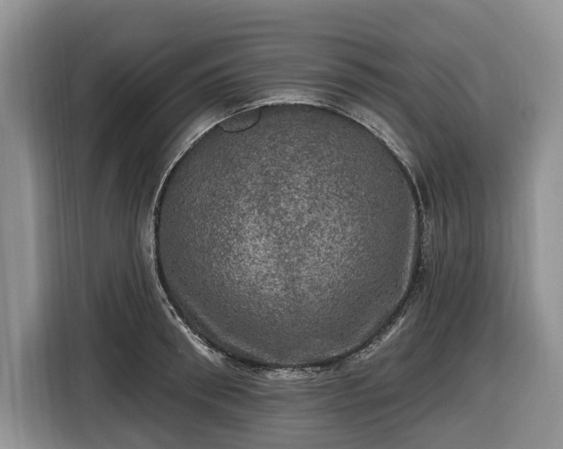 X0000116450898200912151258