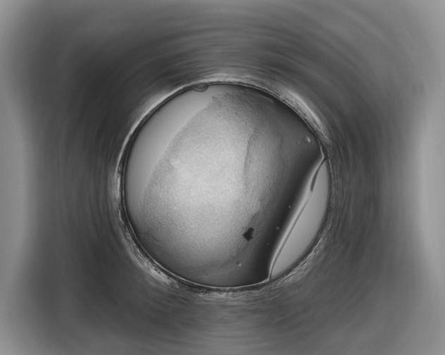 X0000116450900200912151258