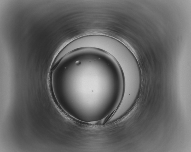 X0000116450901200912151258
