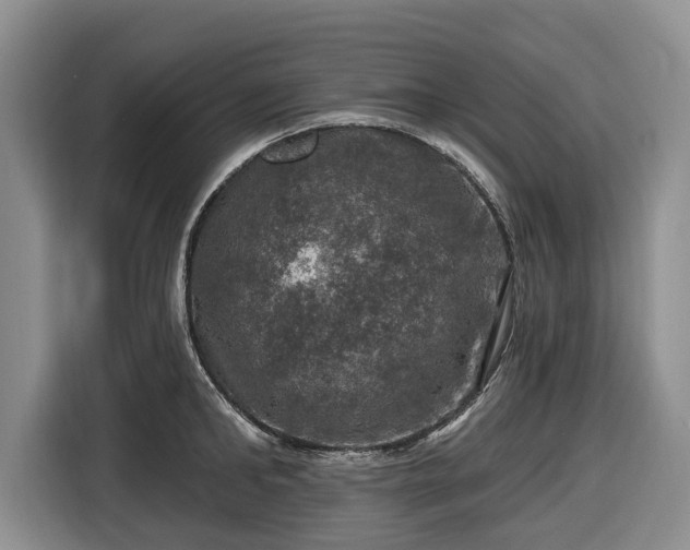 X0000116450902200912151258