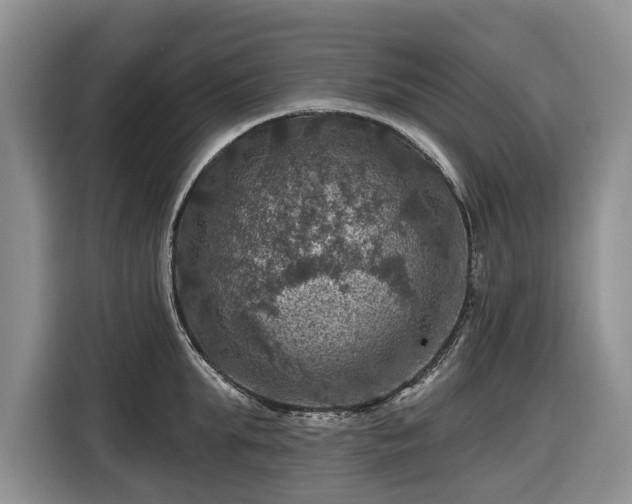 X0000116450903200912151257