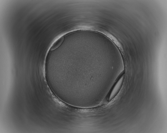 X0000116450904200912151257