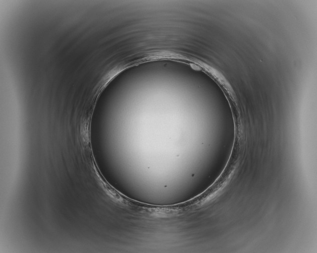 X0000116450905200912151257