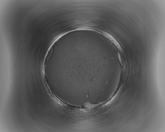 X0000116450908200912151257