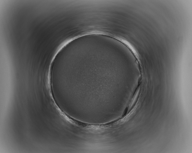 X0000116450910200912151257