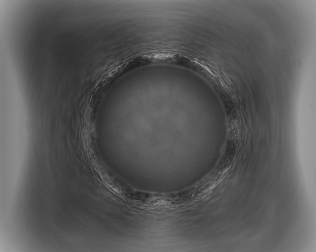 X0000116450913200912151257