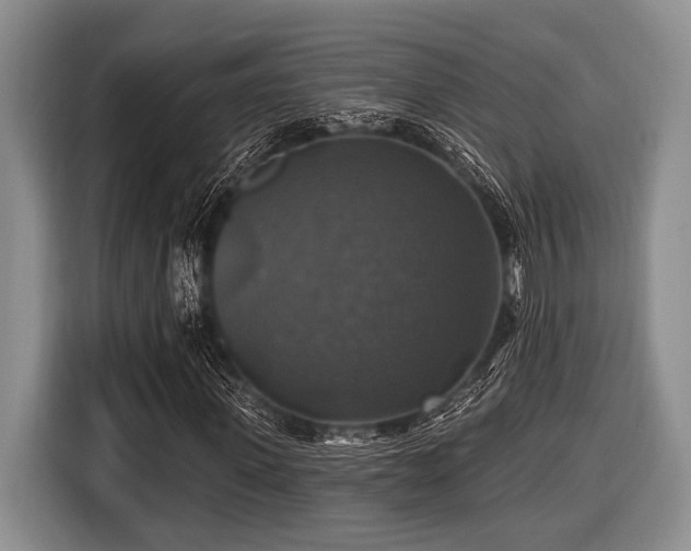 X0000116450915200912151257