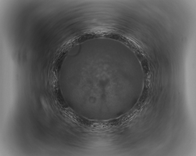 X0000116450917200912151257