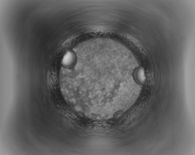 X0000116450918200912151257