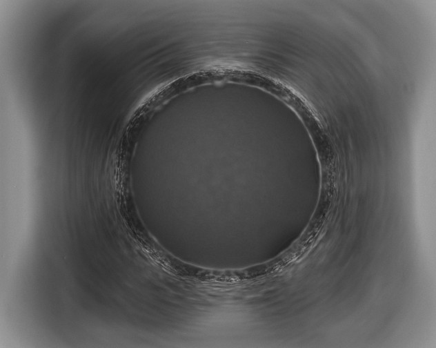 X0000116450919200912151257