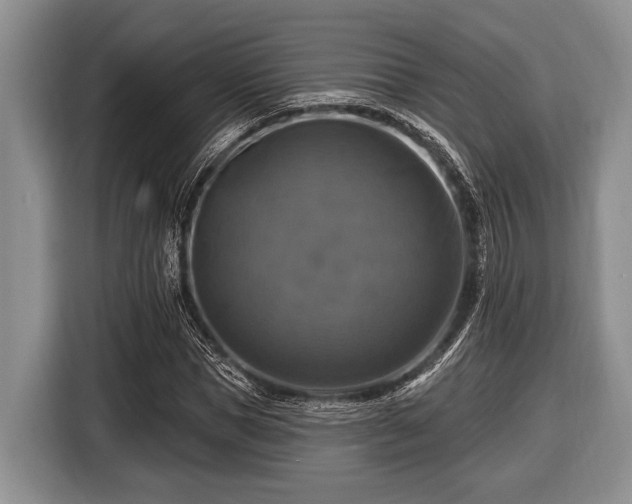 X0000116450921200912151257