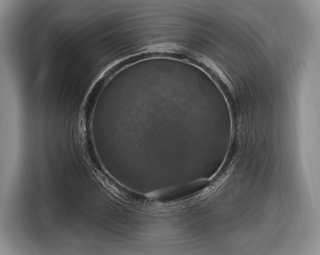 X0000116450923200912151257
