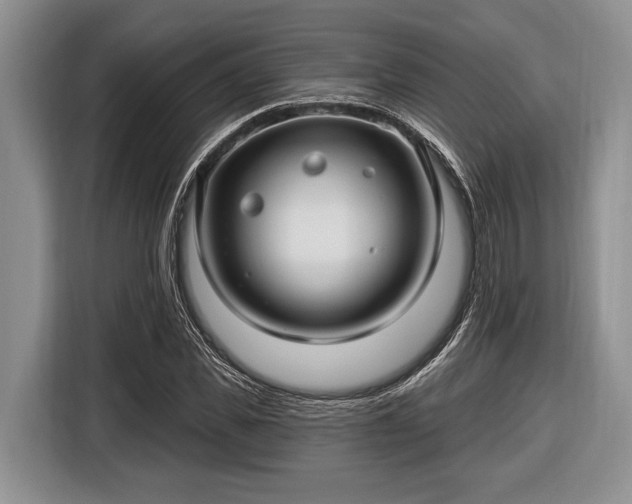 X0000116450925200912151257