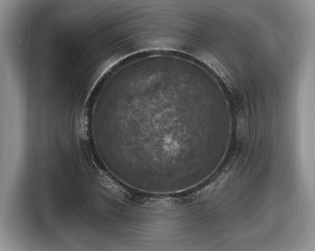 X0000116450926200912151257