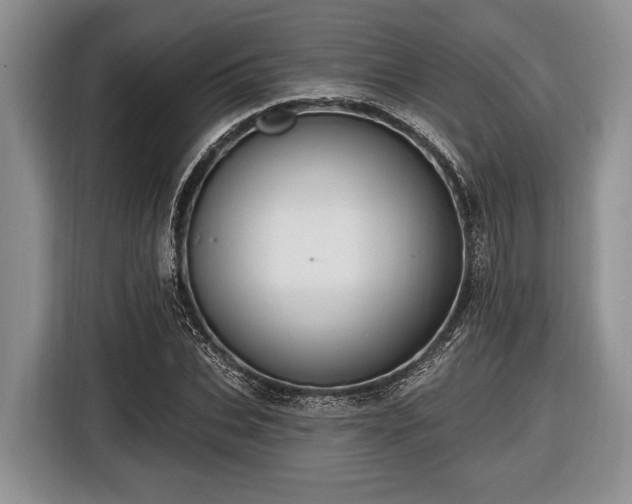 X0000116450927200912151257
