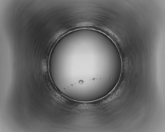 X0000116450929200912151257