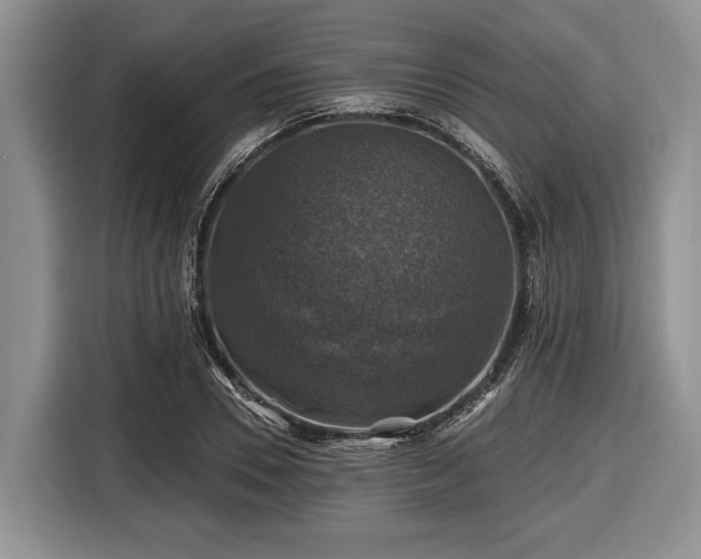 X0000116450930200912151257