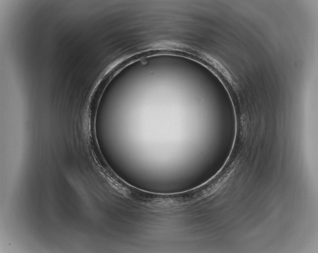 X0000116450931200912151257