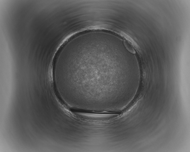 X0000116450934200912151257