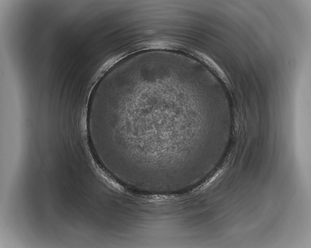 X0000116450938200912151257