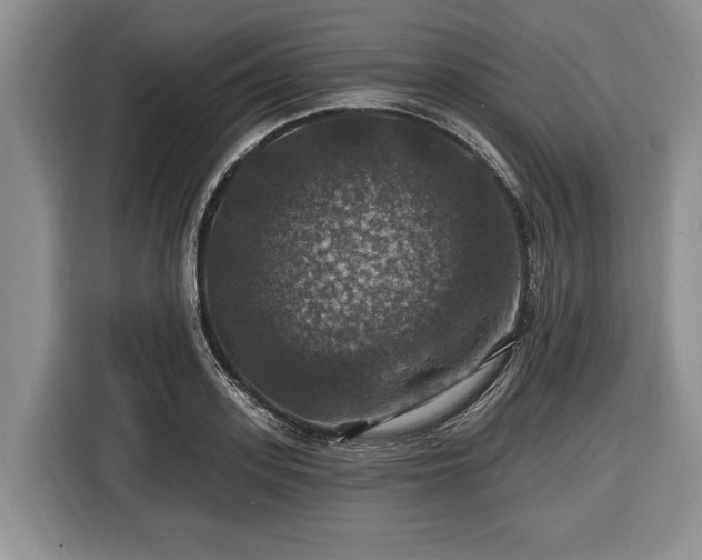 X0000116450939200912151257