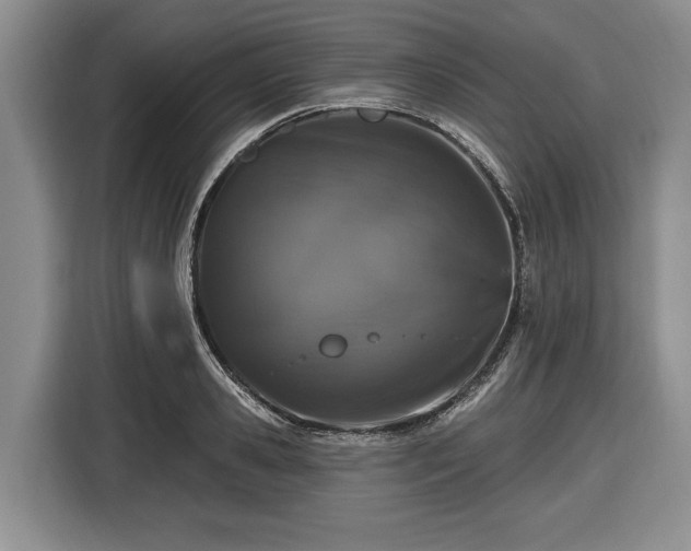 X0000116450941200912151257