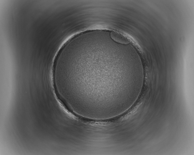 X0000116450942200912151257